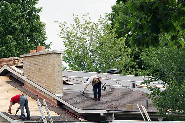 Best Roof Gutter Cleaning  in Lake Los Angeles, CA